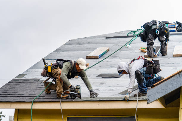 Professional Roof Inspection technician working in Maine, NY